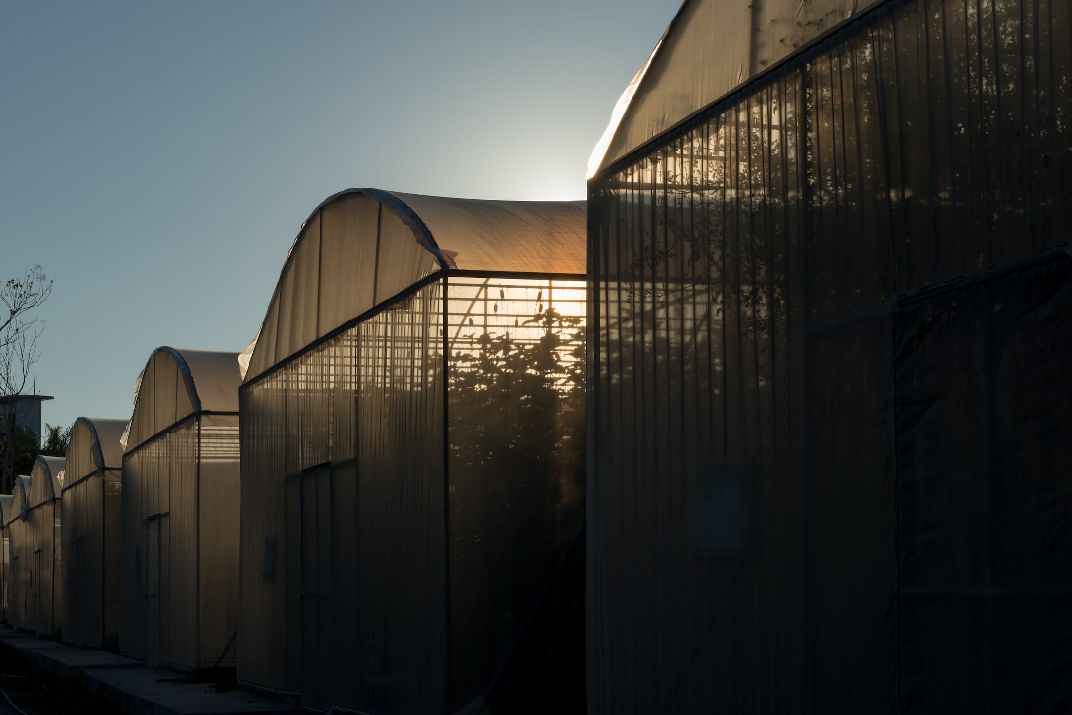 蜜瓜，DFAP 建筑师-45