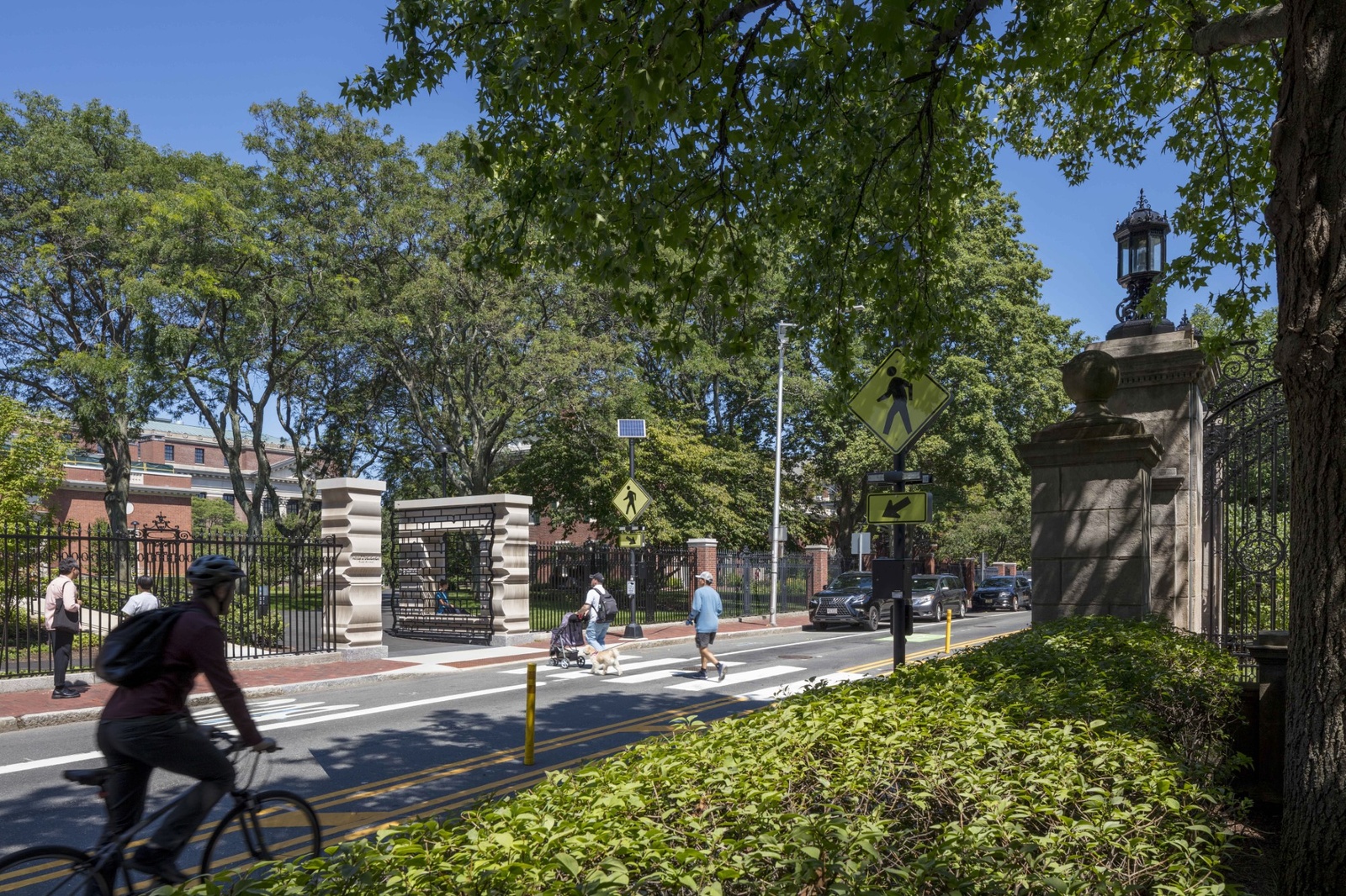 Peter J. Solomon Gate at Harvard University-6