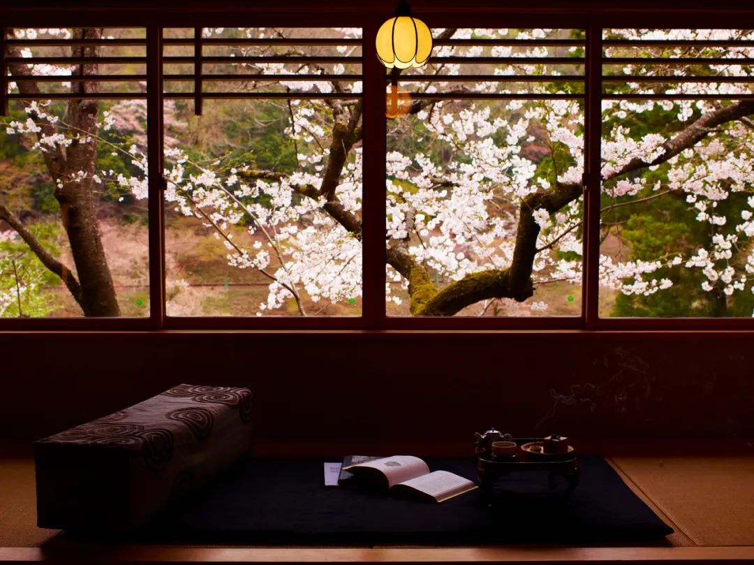 京都虹夕诺雅度假酒店丨日本京都丨Azuma Architect(东环境建筑事务所)-51