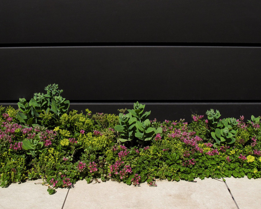 丨美国芝加哥-33