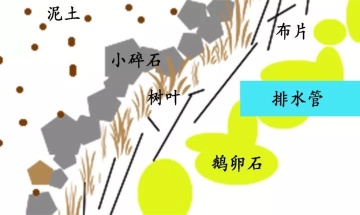 四季花开不间断的阳台打造指南-60