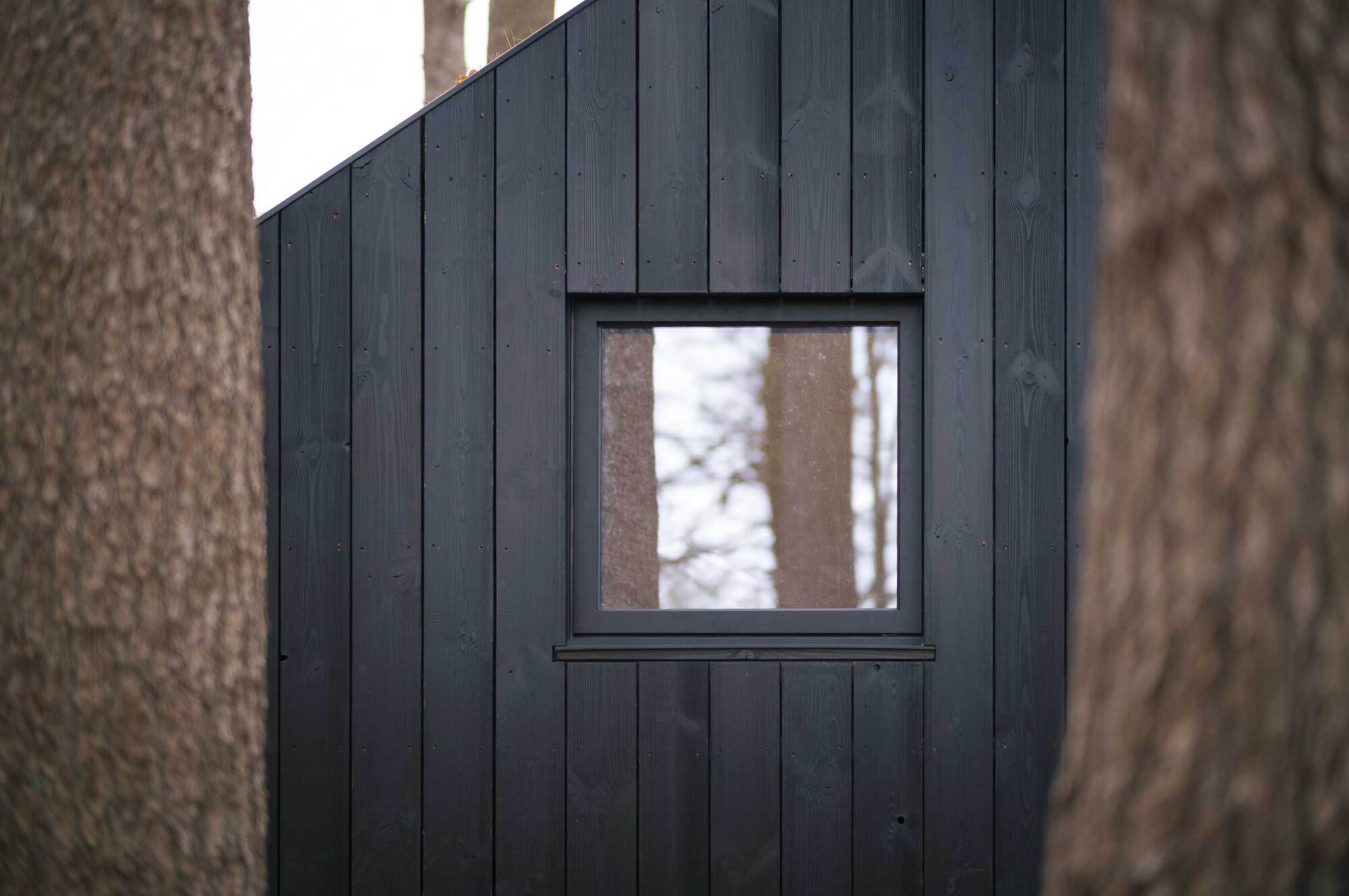 木屋民宿丨美国波士顿丨Koto（建筑设计）,Koto Living（室内与照明设计）-39