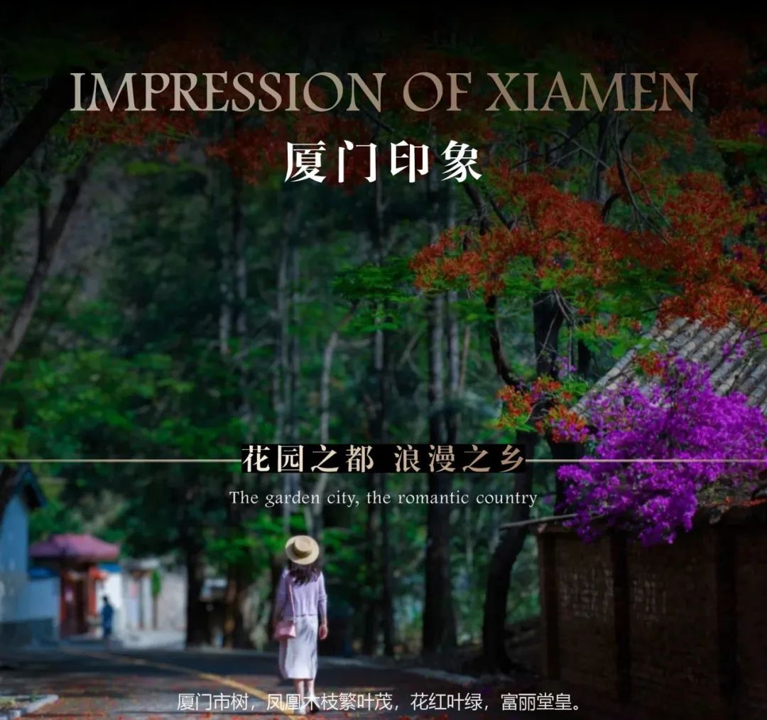 中交建发五缘海悦丨中国上海丨道田景观-2