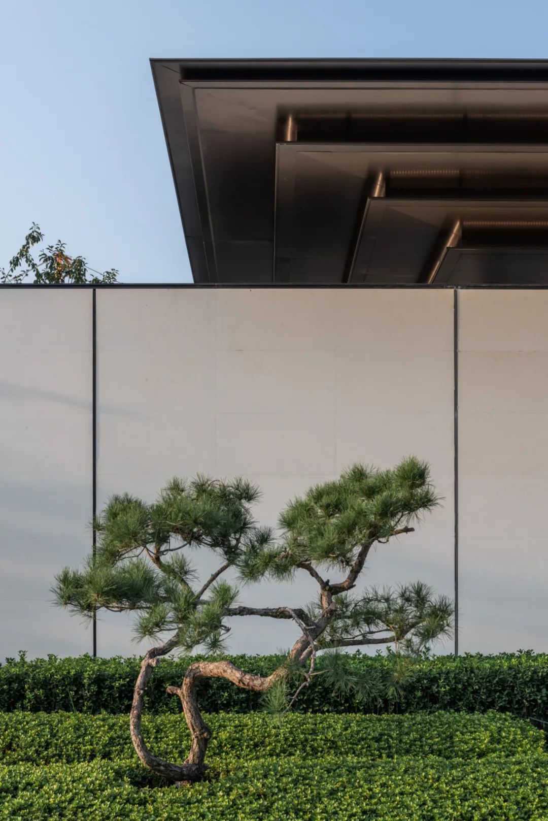 奥正雅园丨中国临沂丨GTS 蓝颂设计-20