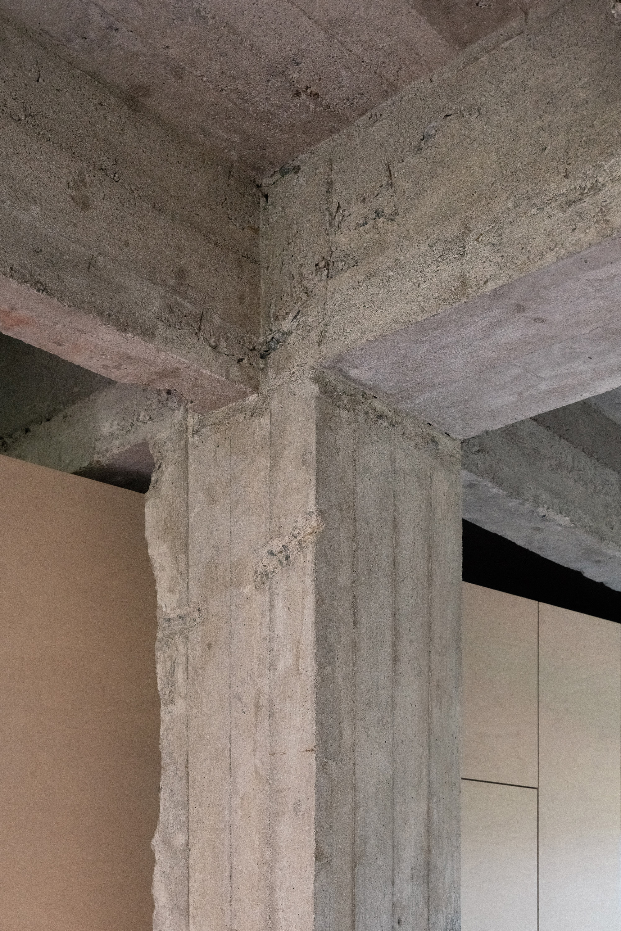 公寓 + 公寓丨捷克丨Progres Architekti-29