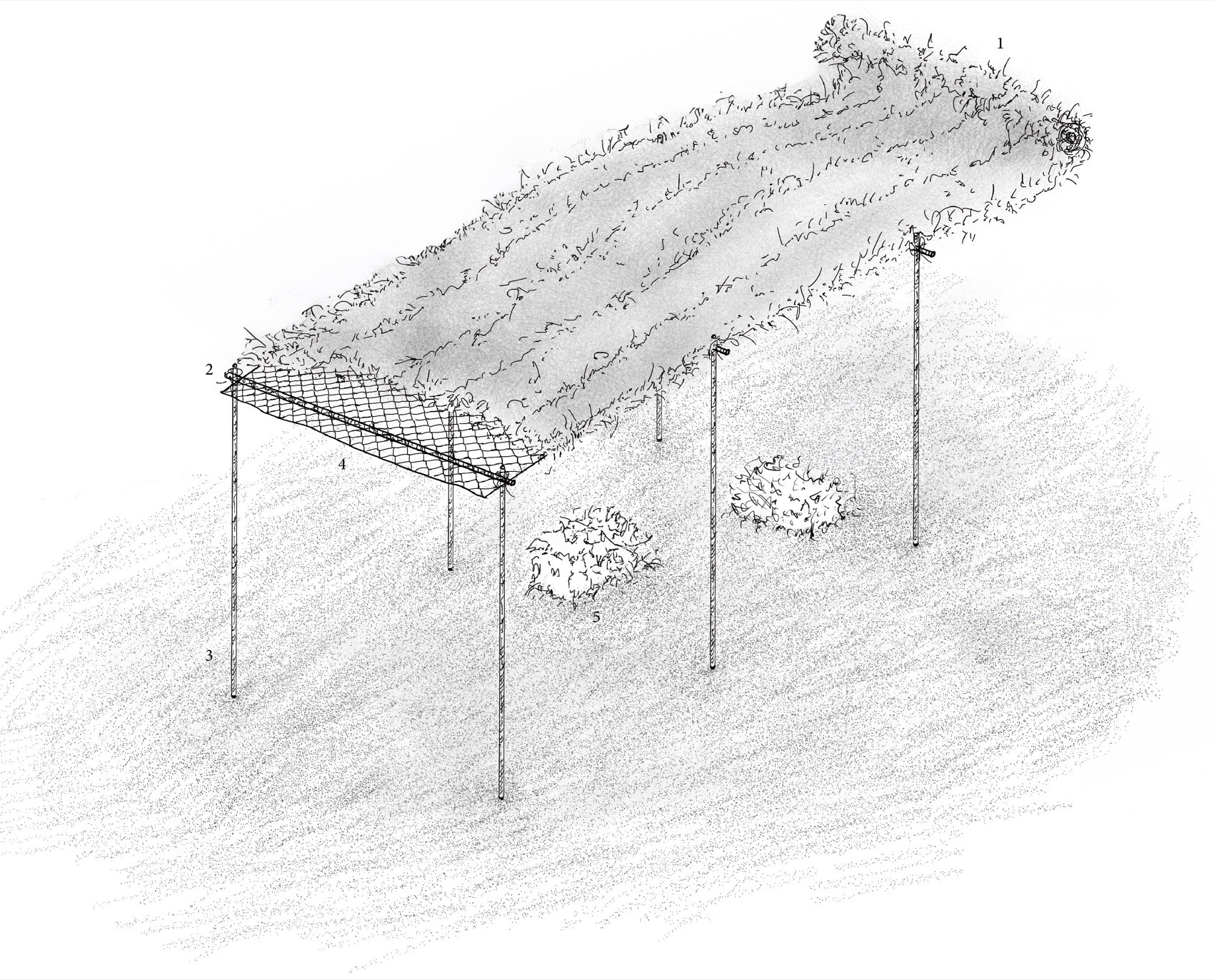 大地的印记丨意大利丨蹊径设计-24