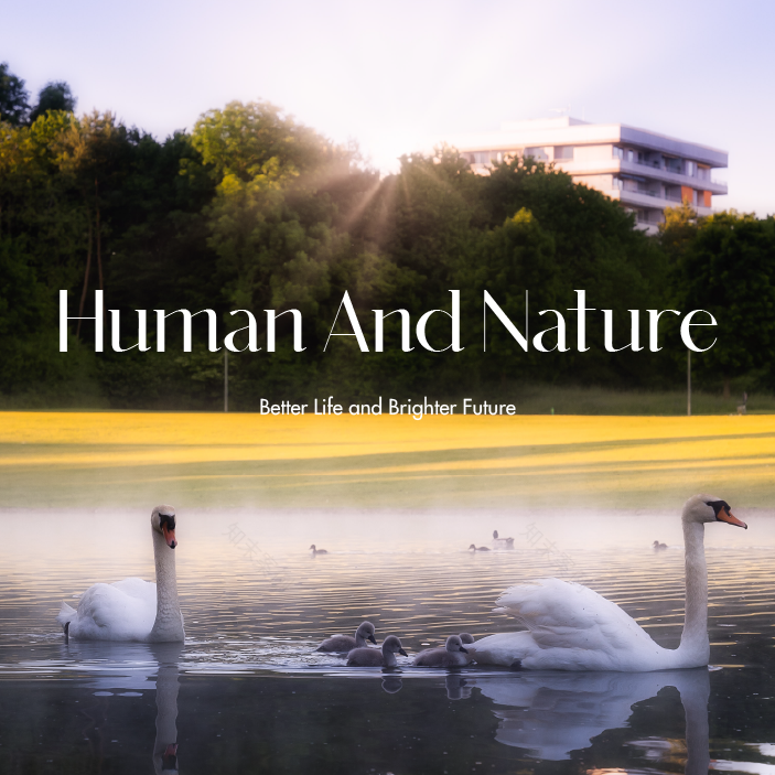 荣成自在澜湾销售中心丨中国山东丨元禾大千(软装),天翊设计(硬装)-17