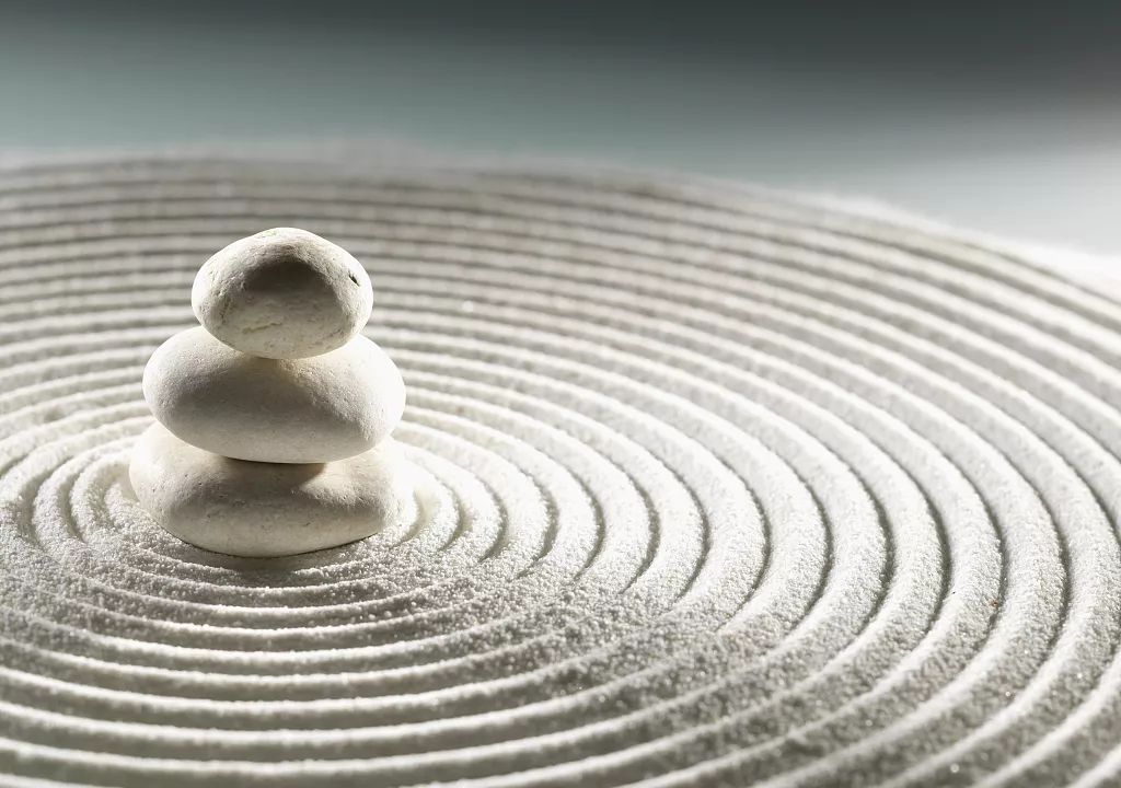 自然与时尚的平衡探索-17