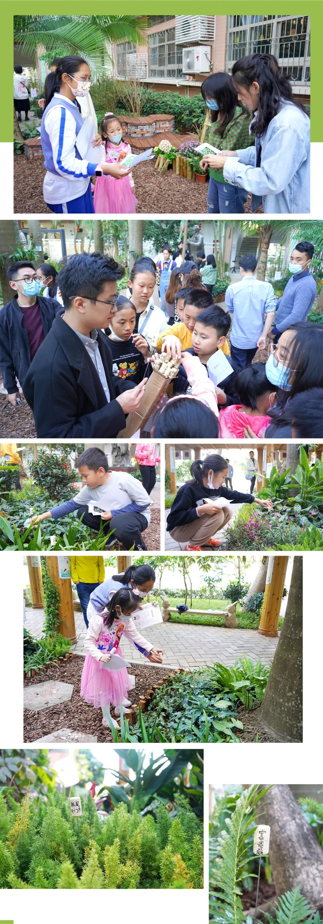 深圳后海小学“未来花园”丨中国深圳丨GND杰地景观,华南农业大学林学与风景园林学院-30