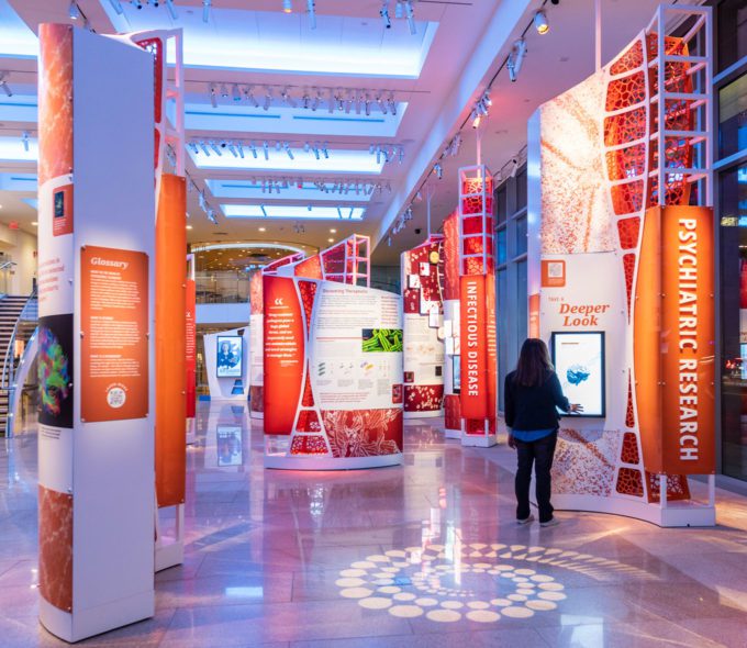 Featured | CambridgeSeven-4