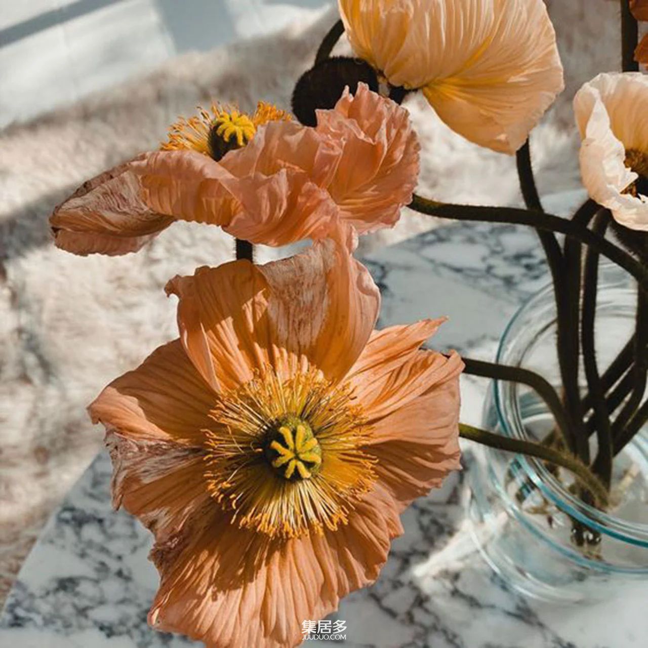 狂想曲中的家居美学-8