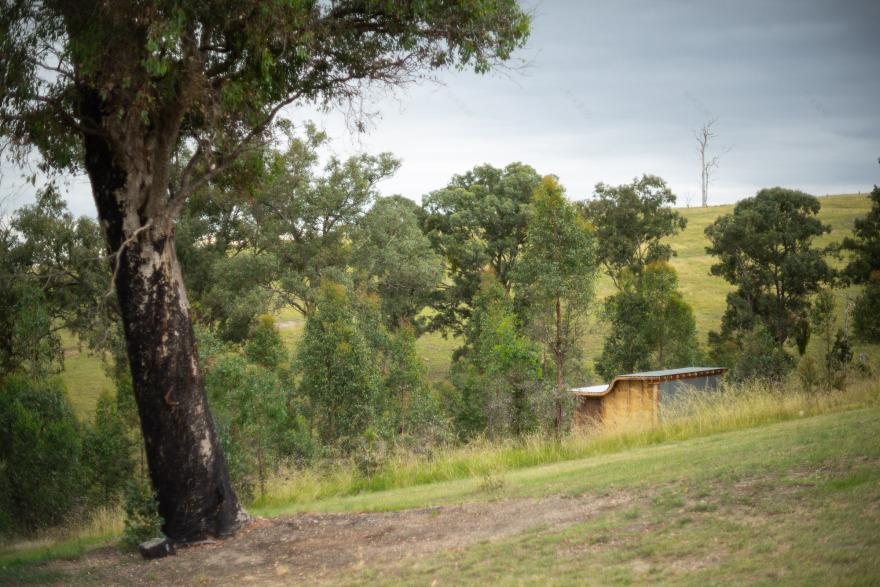 一个观看树木生长的地方丨澳大利亚丨Green Studio-27