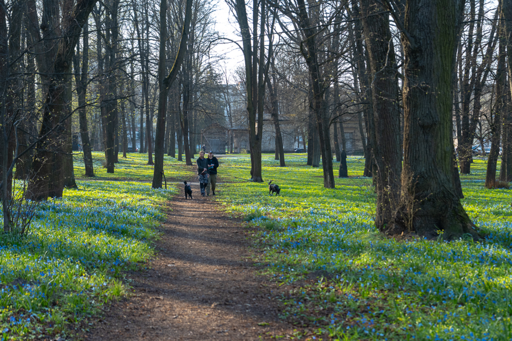 Izsludina metu konkursu Lielo kapu vērtību saglabāšanai ← FOLD-6