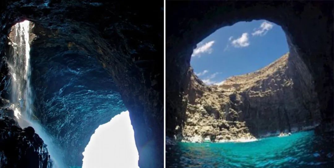 莫干山秘境杉林,尽享自然之美-78