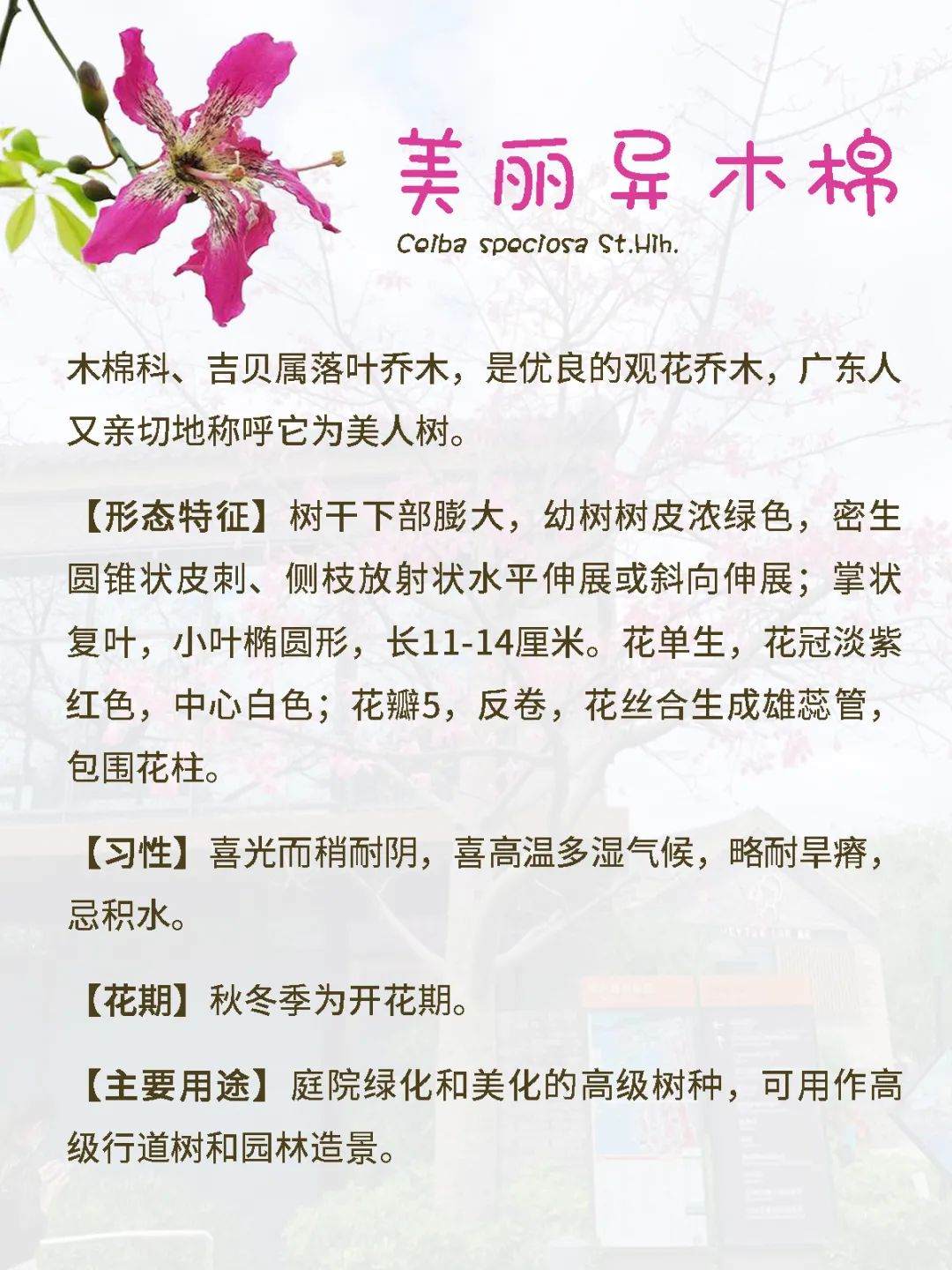 花城广州,四季繁花似锦的生态城市设计丨中国广州丨茏腾园林-33