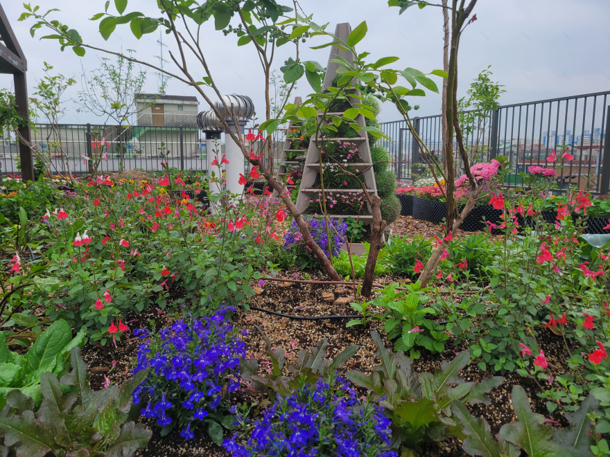 LH 公共租赁住房 Haesimdang丨韩国首尔丨GEEUMPLUS-44