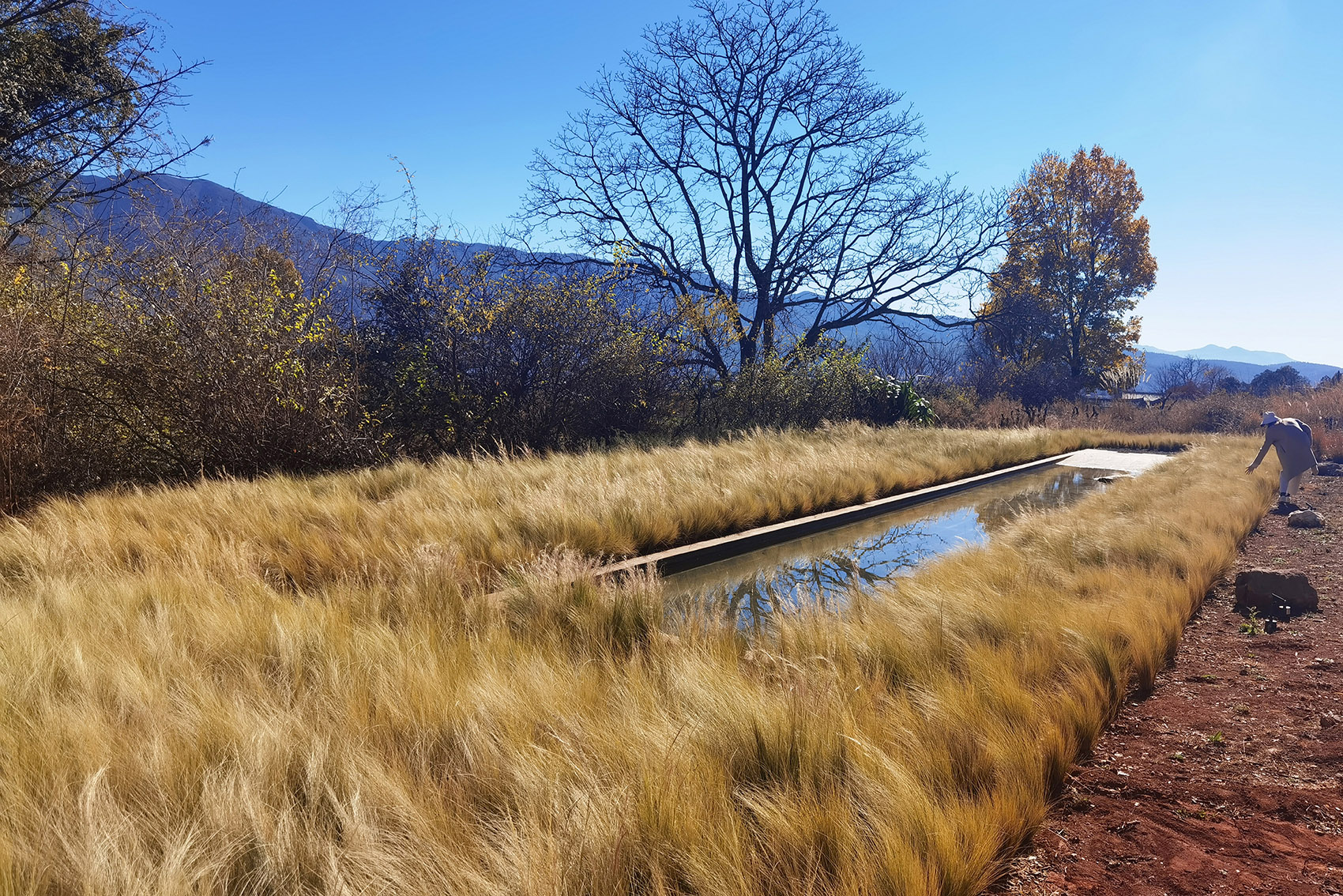 荒野花园和草甸剧场丨中国白沙丨Z’scape致舍景观-49