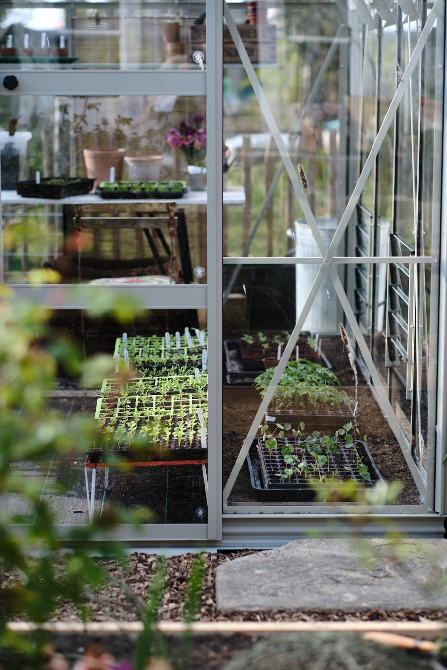 Creating a cottage garden - Lobster and Swan-20