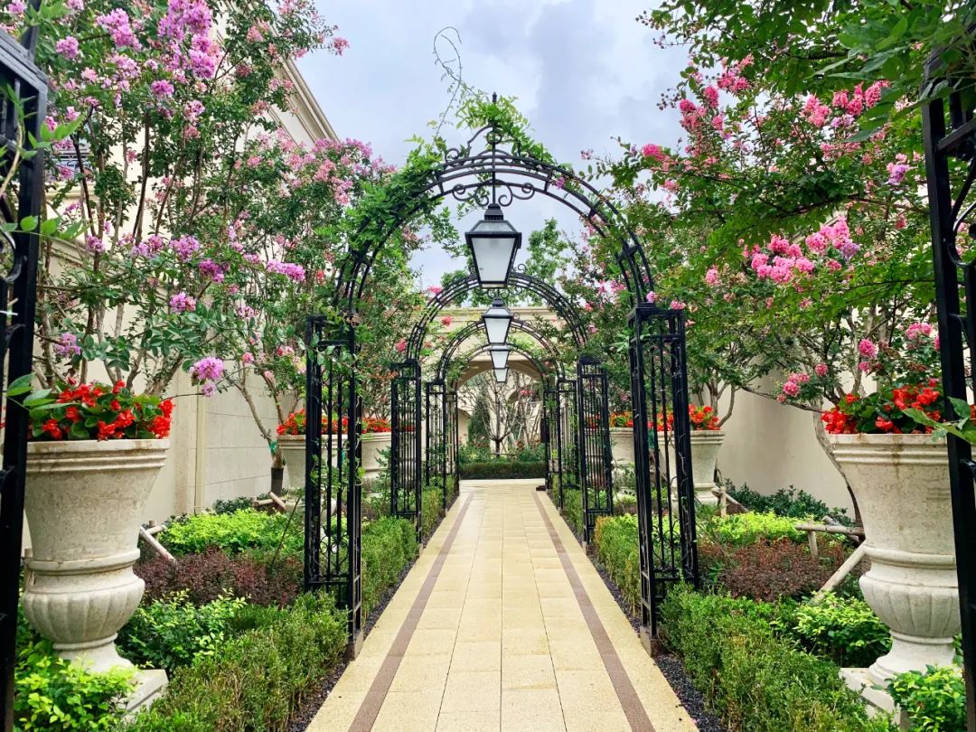 大连绿城玫瑰园葡萄酒小镇丨中国大连-14