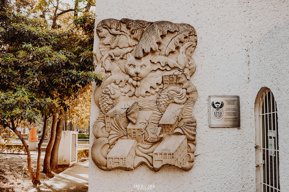 都市中的绿肺 · 林肯公园的艺术与自然-9