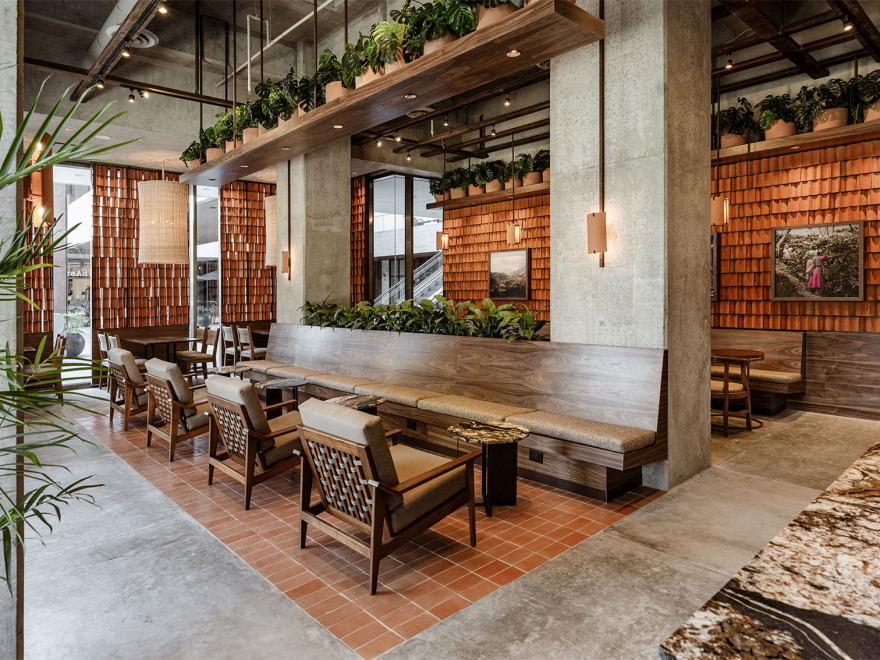 墨西哥 Kali 咖啡馆丨Concéntrico-3