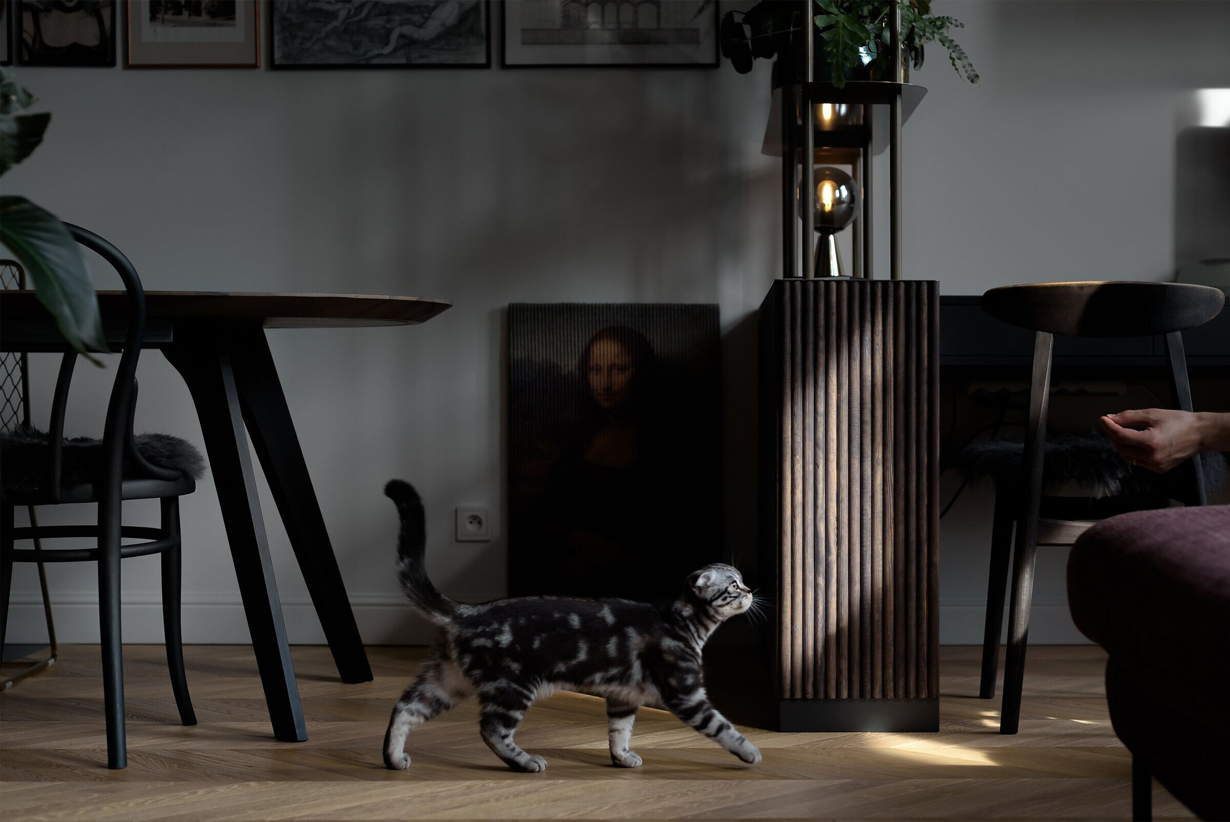 波兰历史建筑中的现代绿意空间-33