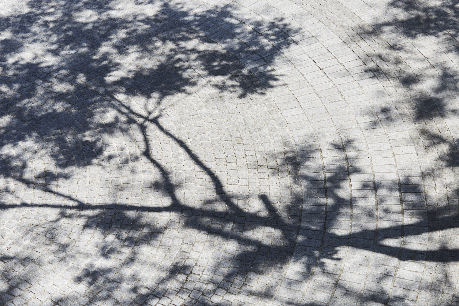 法国 Mantes-la-Jolie 市 Henri Dunant 广场改造，实现行人友好与城市融合-33