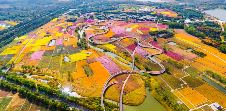 宿迁三台山花田织锦丨中国宿迁丨土人设计(Turenscape)-14