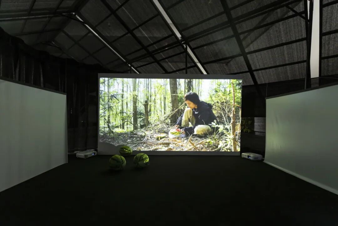 屋顶聚落｜“我们的目光：艺术、人类学与亚洲映像”空间展陈设计-24