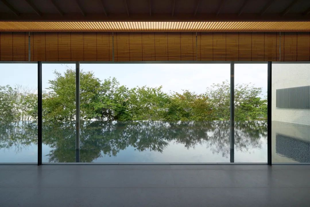 铃木大拙馆丨日本丨谷口吉生-78