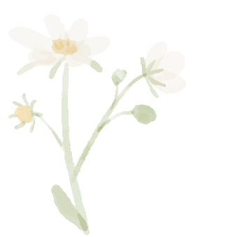 未来社区“和睦方式”||地方创生的浙江道路-15