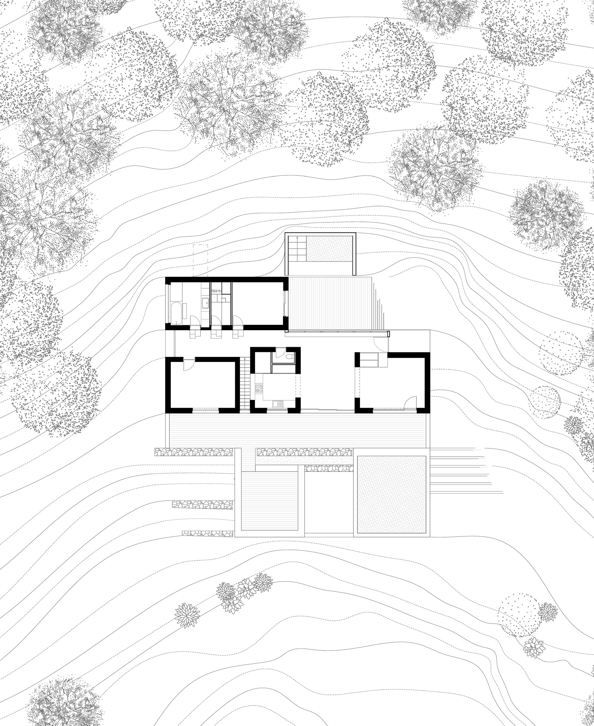 松林里的房子丨法国丨AT architectes-12