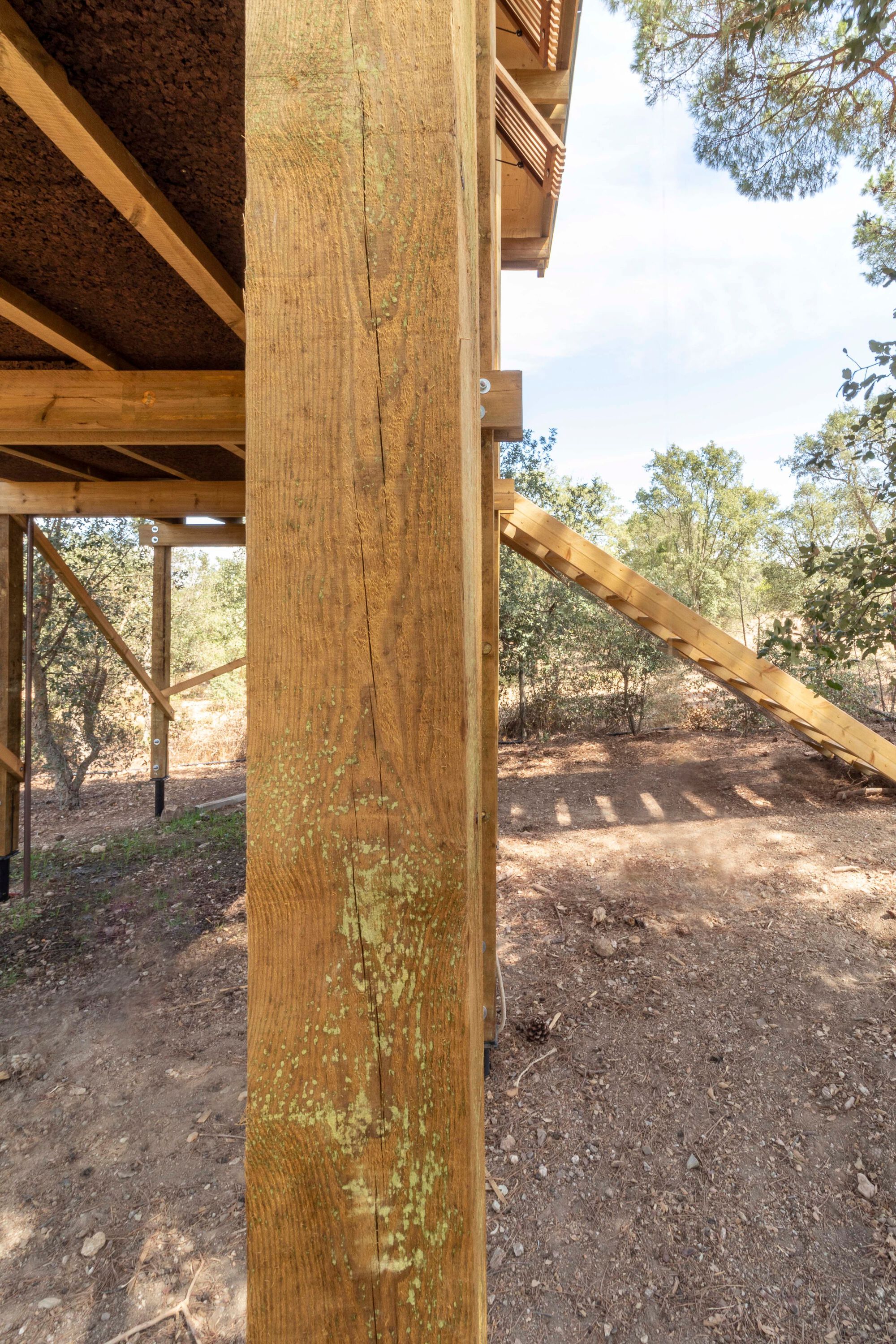 鸽子树屋丨葡萄牙丨Madeiguincho-33