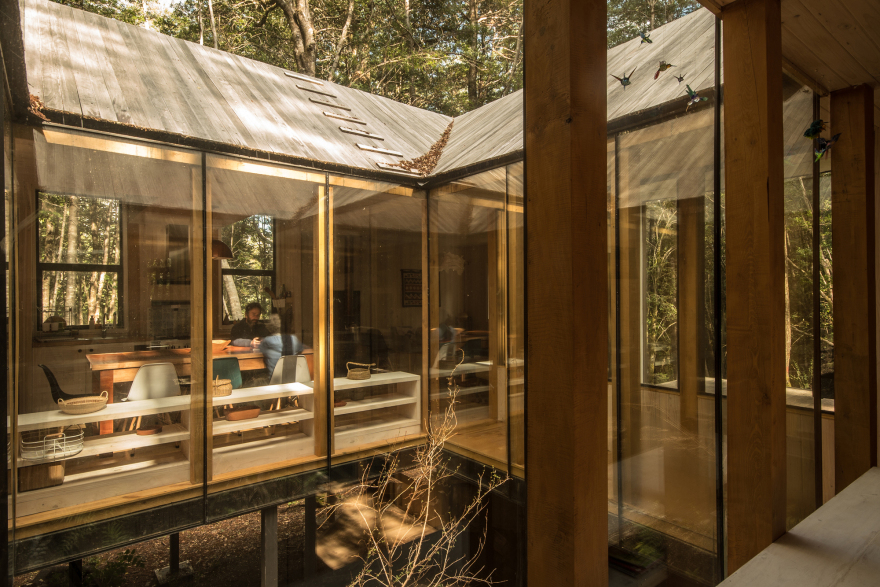 承雨池小屋丨智利丨SAA Arquitectura + Territorio-19