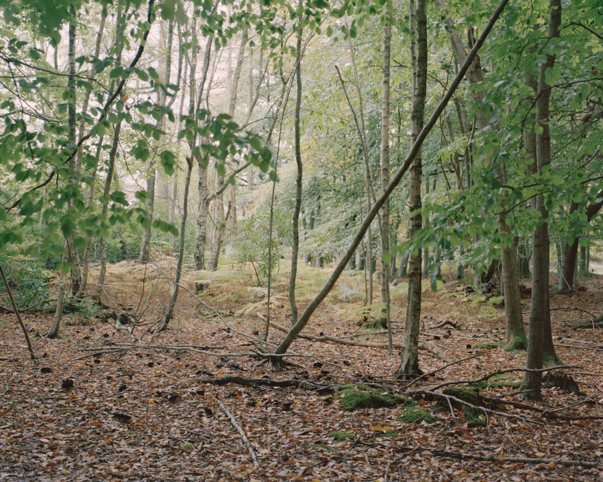 偷听屋丨英国丨Tom Dowdall Architects-40