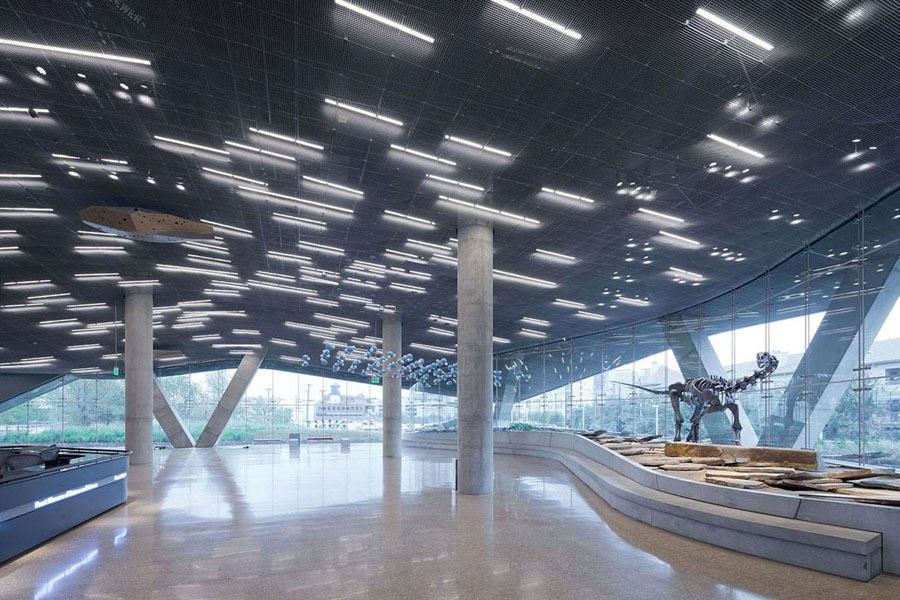 博物馆“世界绘画”（实际为佩罗自然科学博物馆）丨美国达拉斯丨汤姆·梅恩（莫尔福西斯事务所）-25