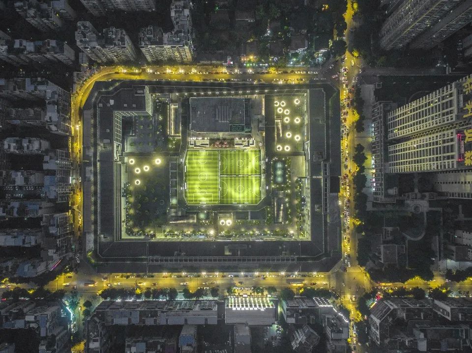 城市绿道漫步 | 一步跨入森林之中-48