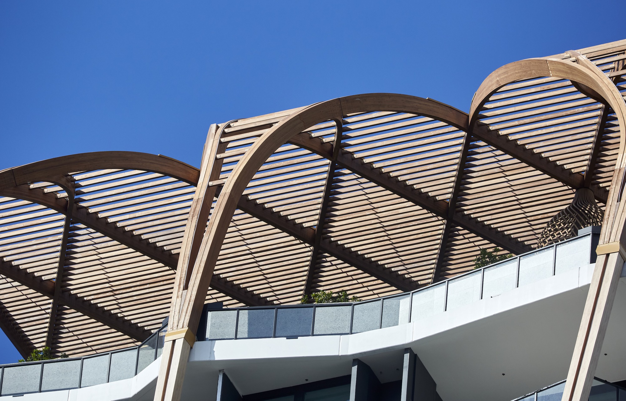 上议院丨澳大利亚丨Koichi Takada Architects-41