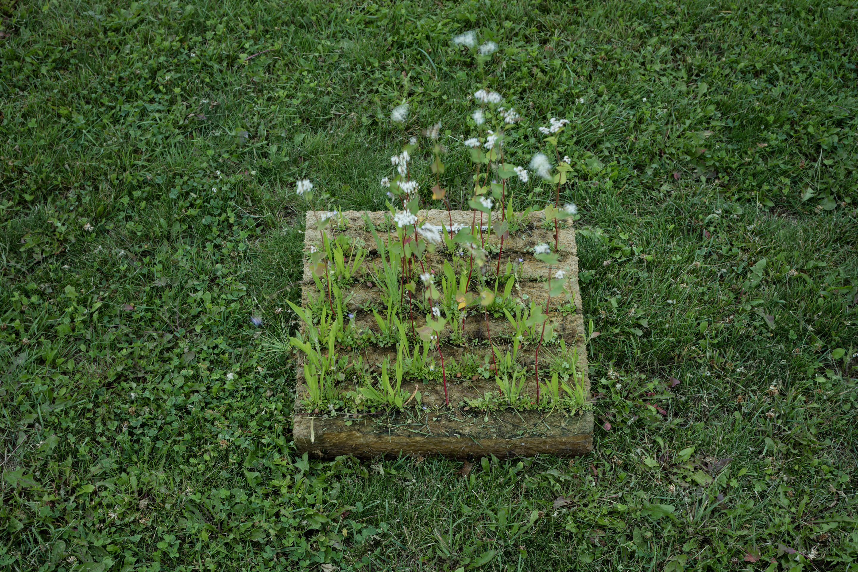 Slavkov u Brna 实验结构-19