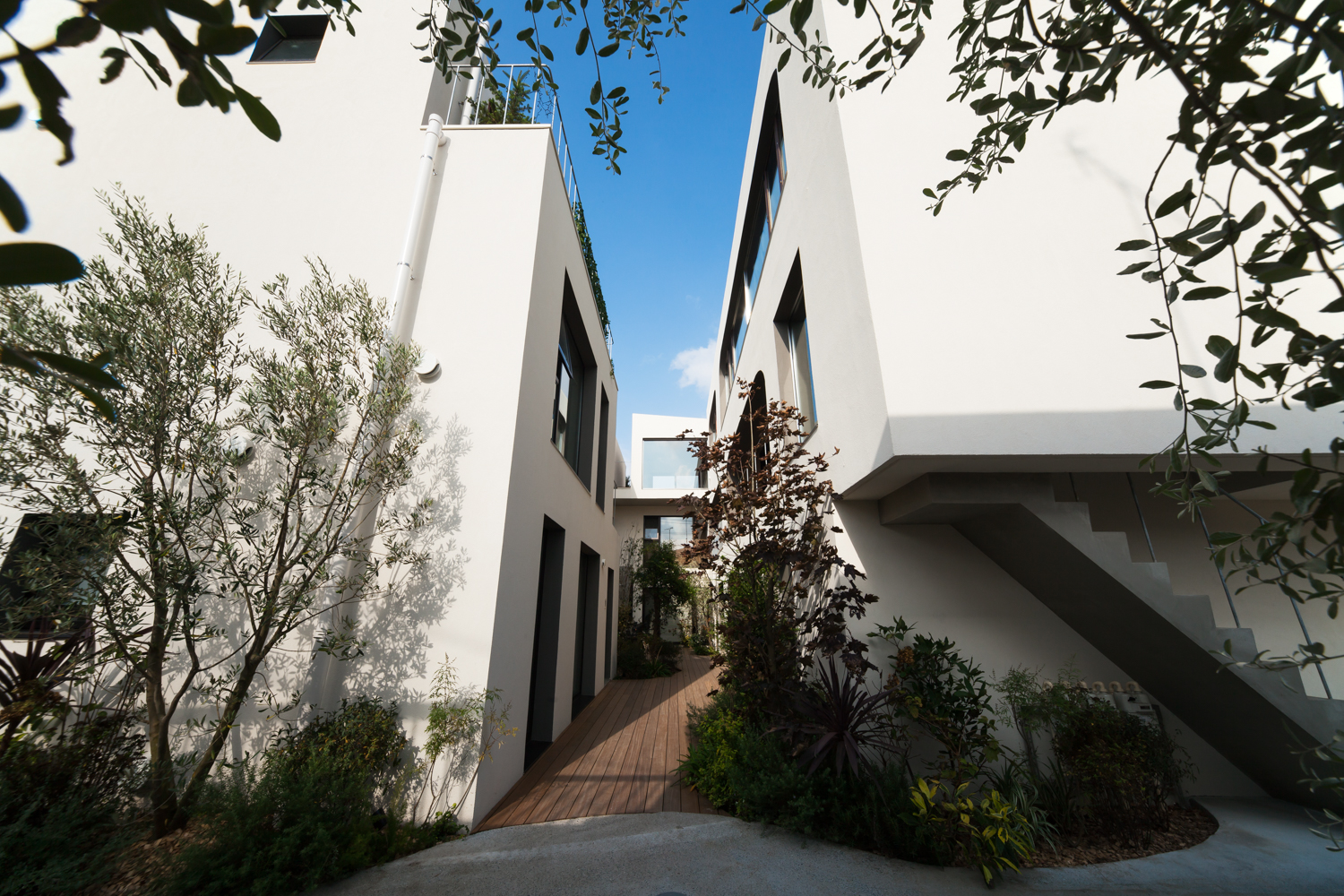 东京合作屋·绿色庭院中的现代住宅-13