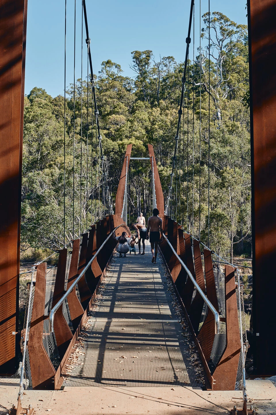 Dwaarlindjirraap 悬索桥丨澳大利亚-30