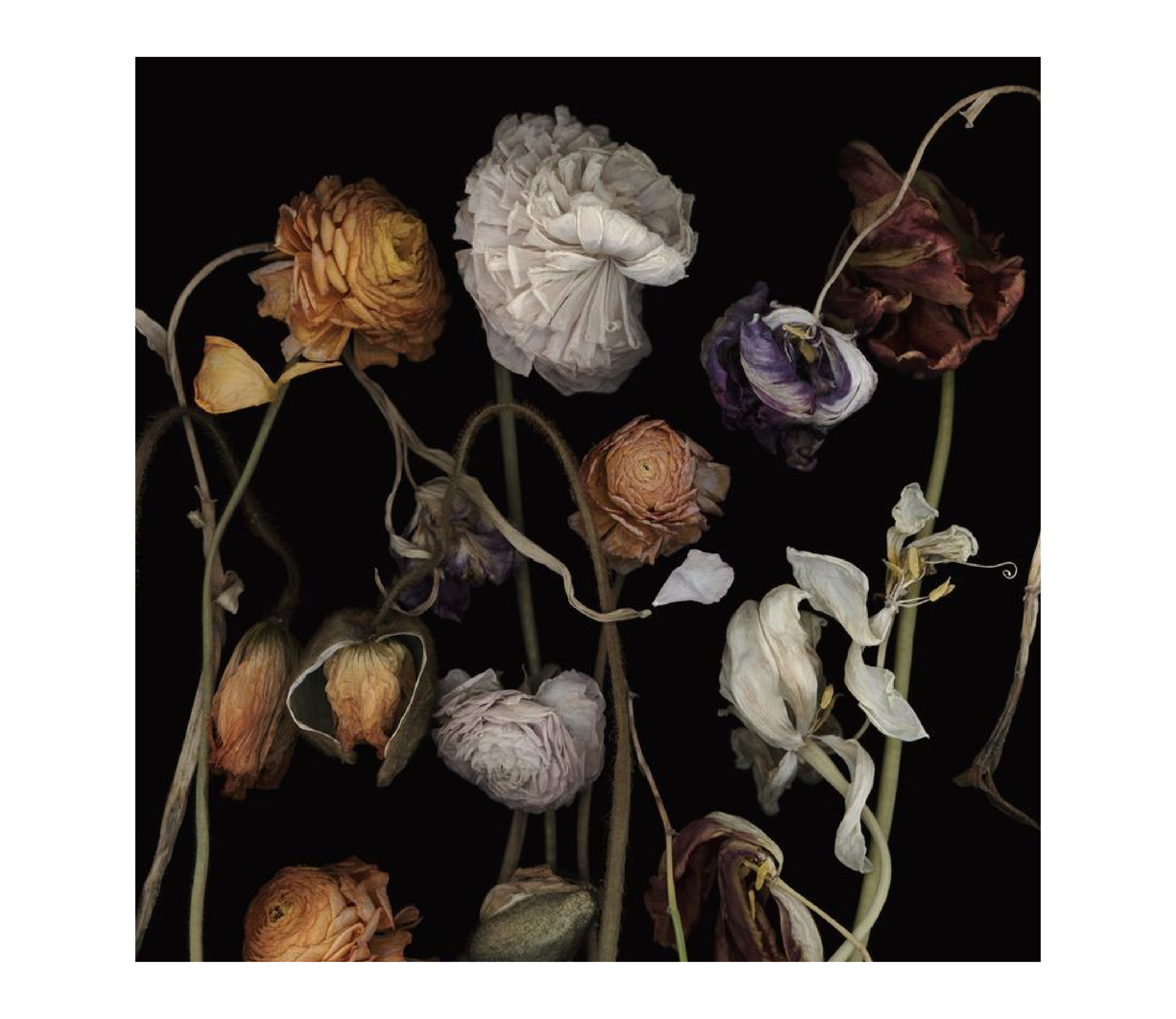 上海·弘安里丨中国上海丨深圳市布鲁盟室内设计有限公司（Bluemoon）-76