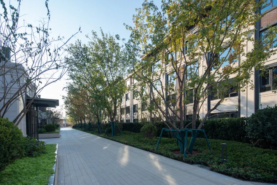 园路列植设计丨上景总工办-62