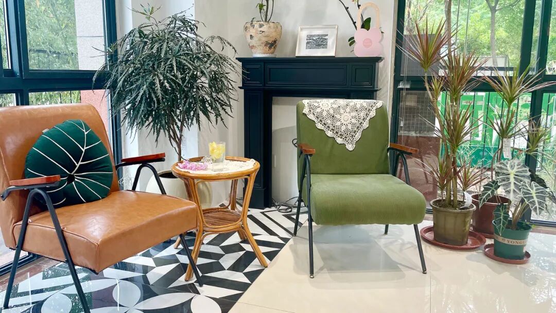 泉城焕新绿▏泉民园艺中心旗舰店-11