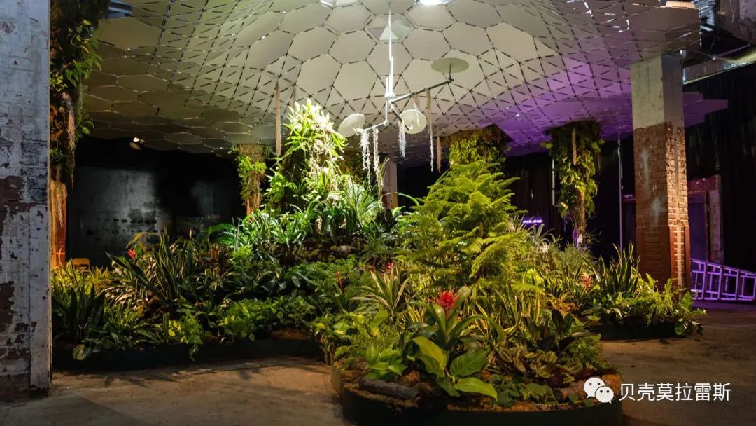 纽约“Lowline”地下公园丨美国曼哈顿丨丹·巴拉施,拉姆齐-33