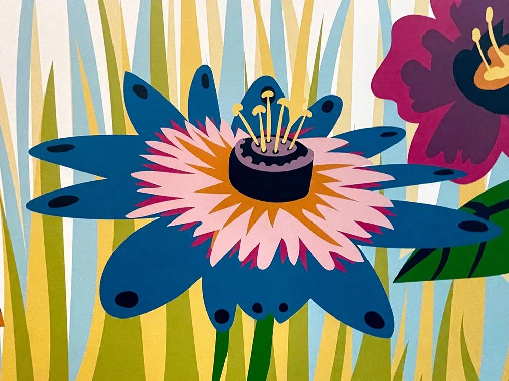 北堪萨斯城学校早教中心丨美国密苏里丨DLR Group-18