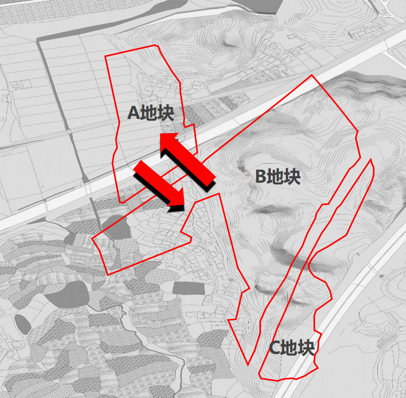 集团要闻丨庐山国家植物园建设项目获业主方高度赞扬-54