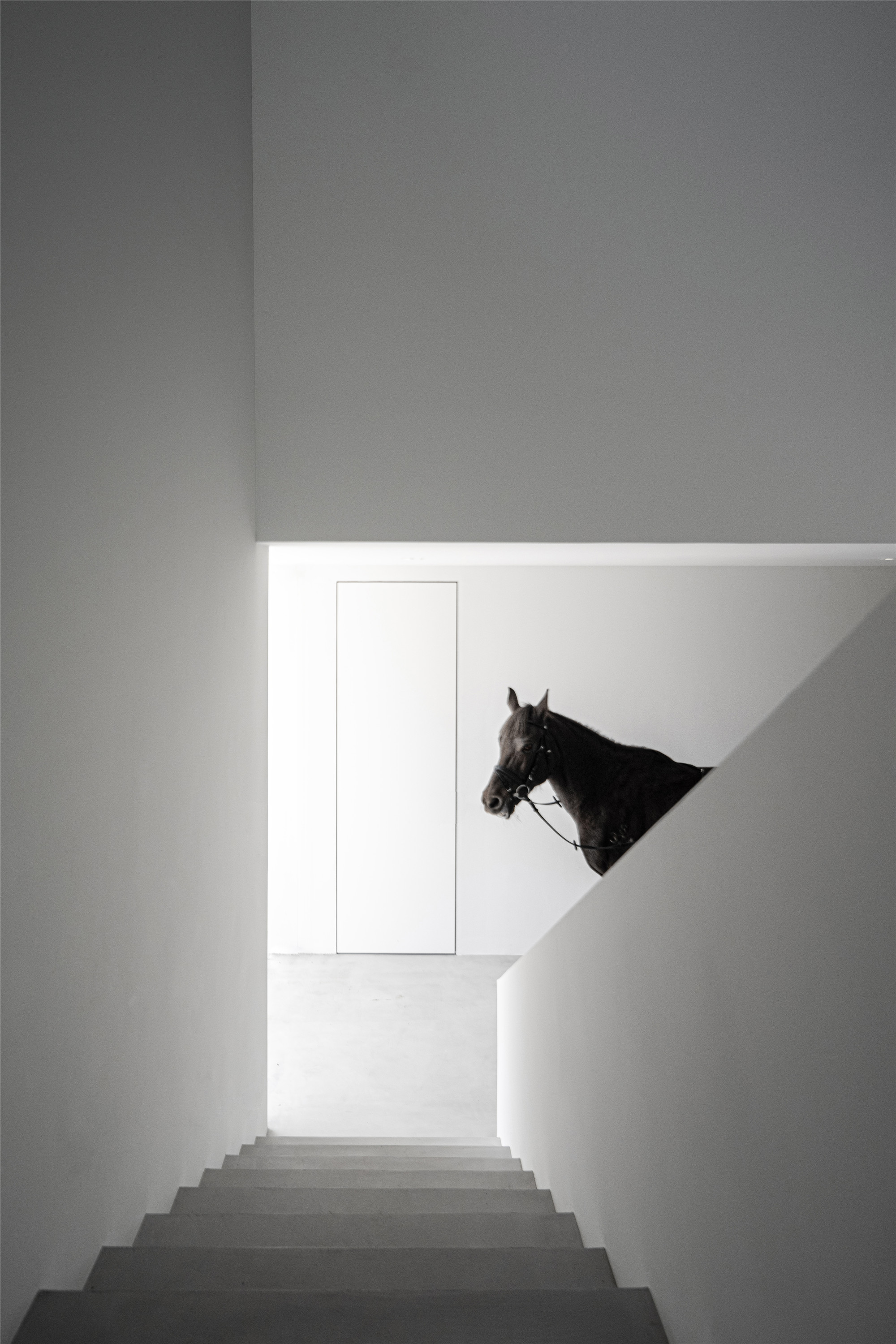 JCD· 办公空间丨中国江苏丨精成空间设计-15