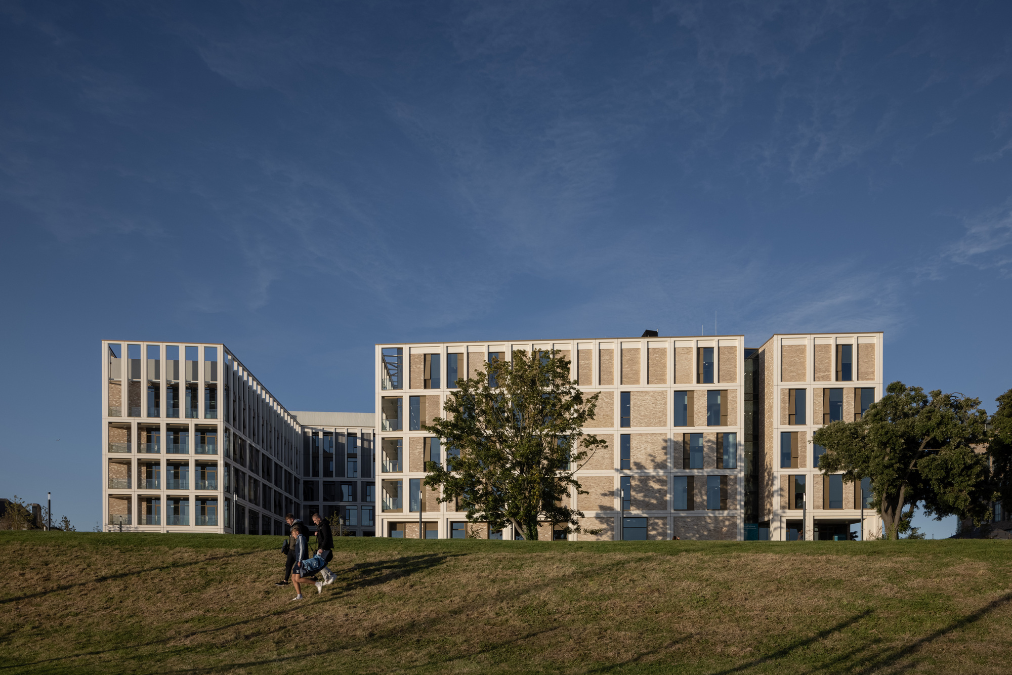 格兰治高曼中央四合院校区丨爱尔兰都柏林丨Feilden Clegg Bradley Studios-34