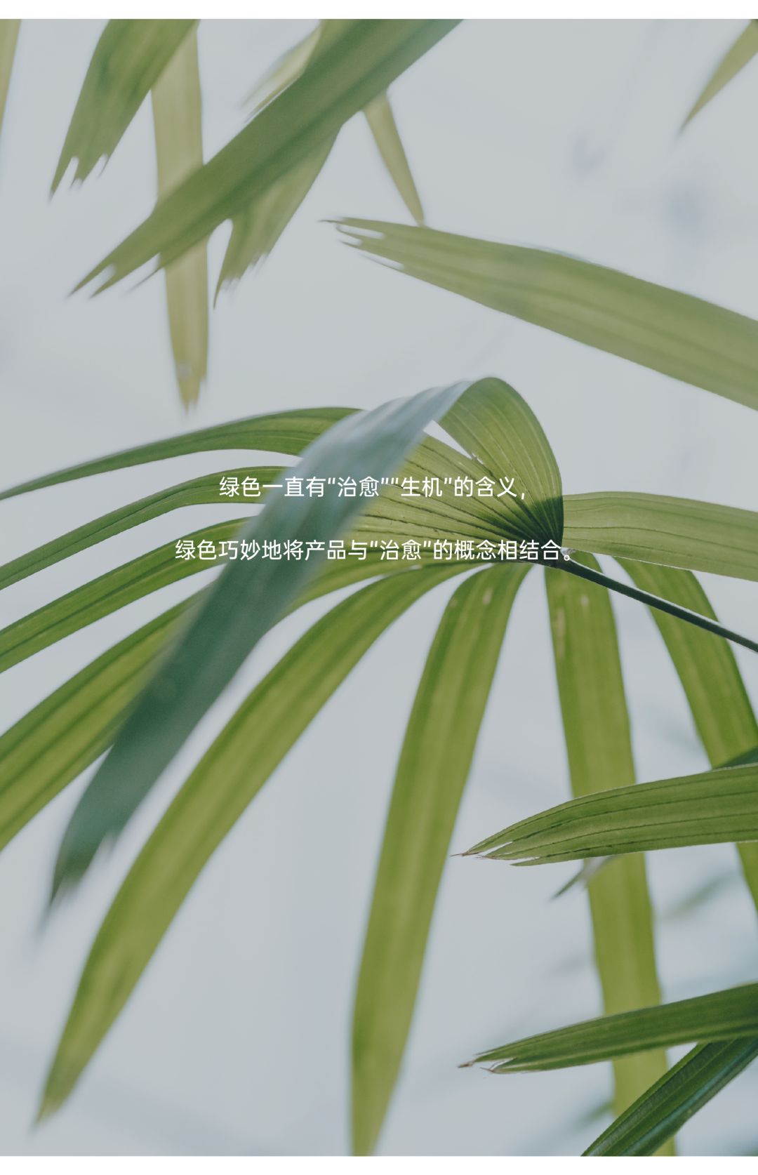 杦拾设计丨车芮恩 治愈肌肤 Packing Design-1